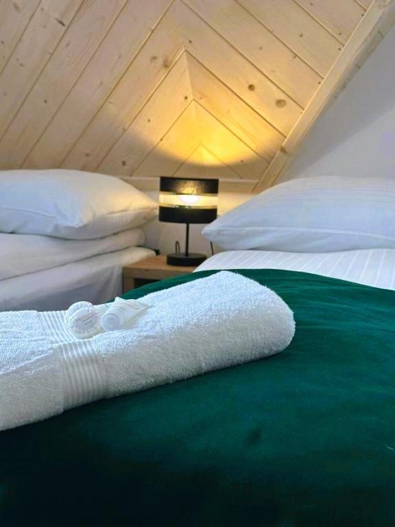 Gorskie Widoki Apartment Poronin